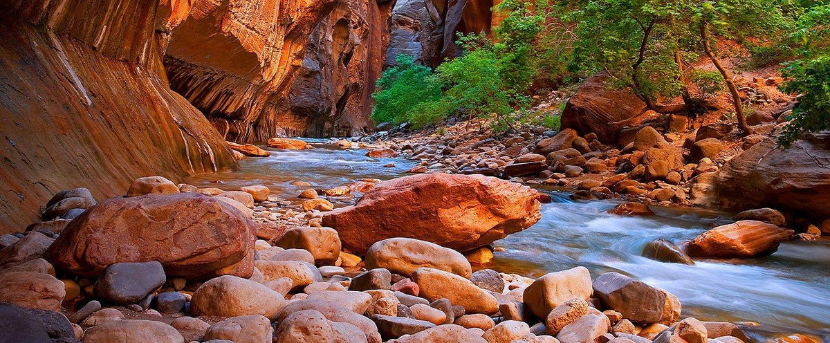 No Reservation? No Problem: The Subversive Guide to Outdoor Travel